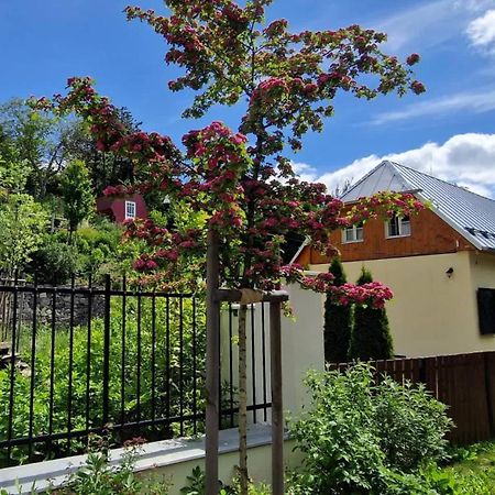 Siglisberg Villa Banská Štiavnica Exteriör bild