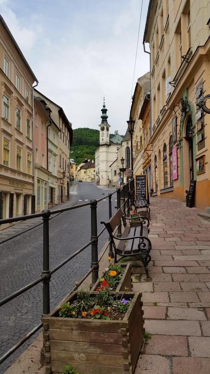 Siglisberg Villa Banská Štiavnica Rum bild
