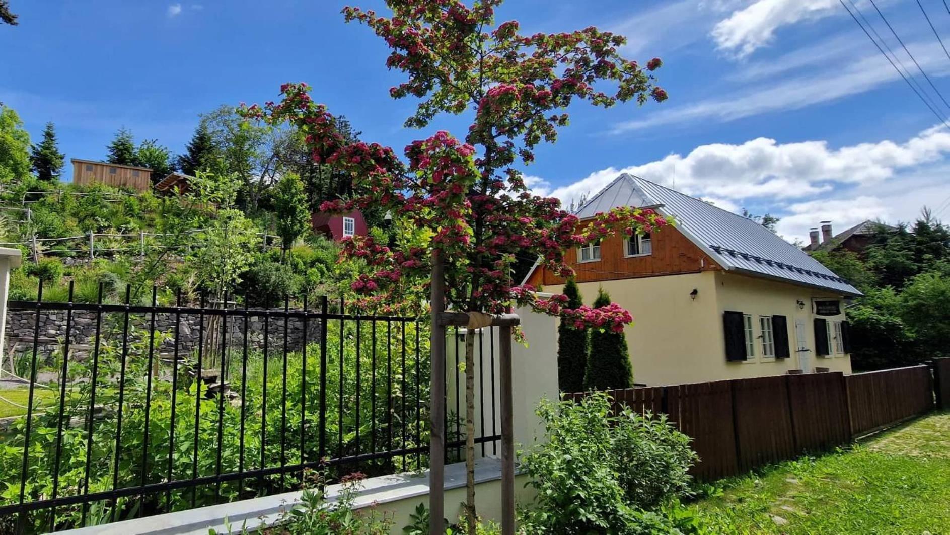 Siglisberg Villa Banská Štiavnica Exteriör bild
